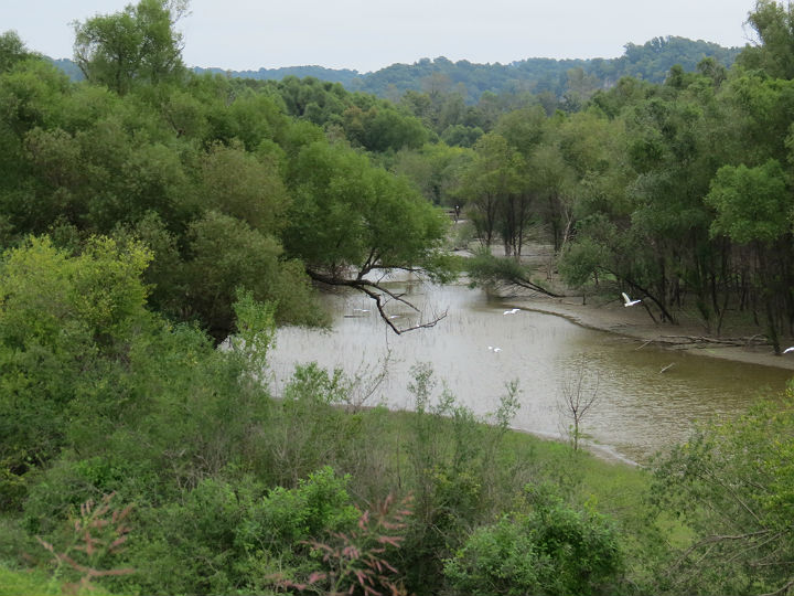 Big Muddy River